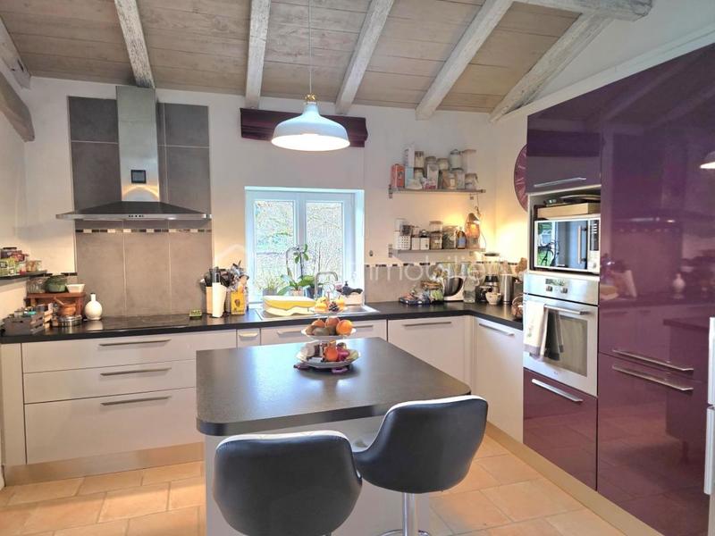 Maison en pierre - 223 m² - 8 pièces