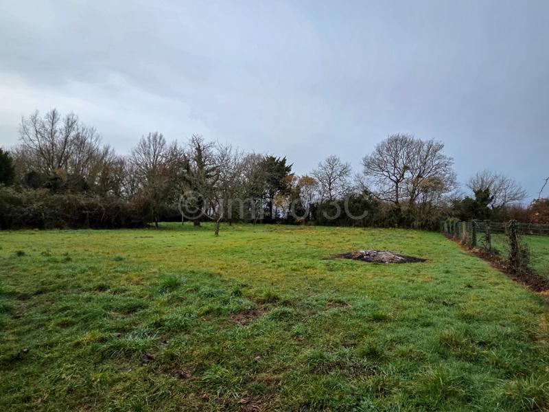 Maison en pierre - 100 m² - 5 pièces