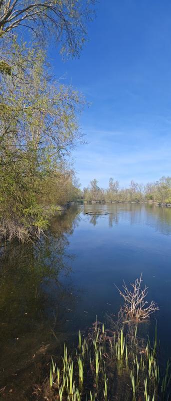 Terrain de loisirs - 55 000 m²