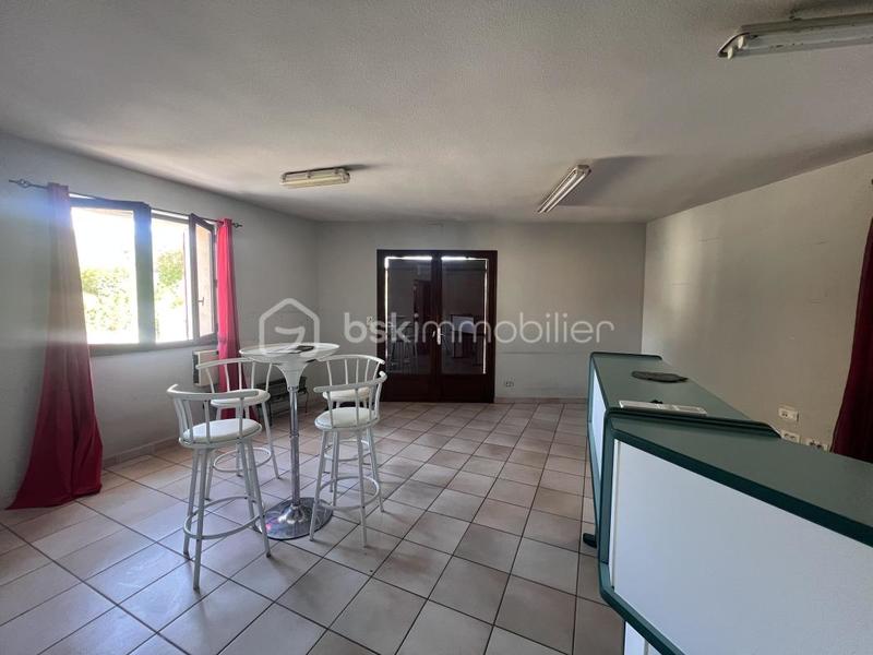 Maison en pierre - 223 m² - 9 pièces