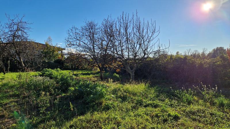 Terrain - 741 m²