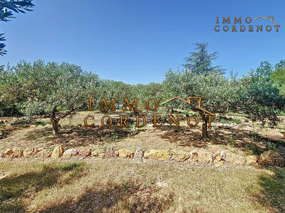 Villa - 262 m² - 7 pièces