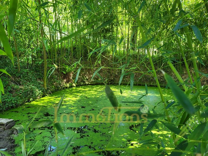 Maison - 330 m² - 9 pièces