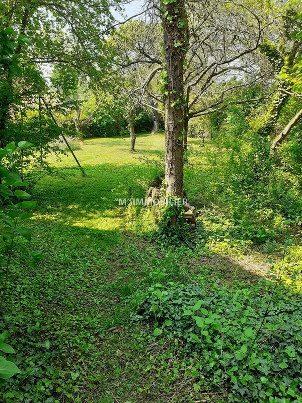 Maison - 143 m² - 5 pièces