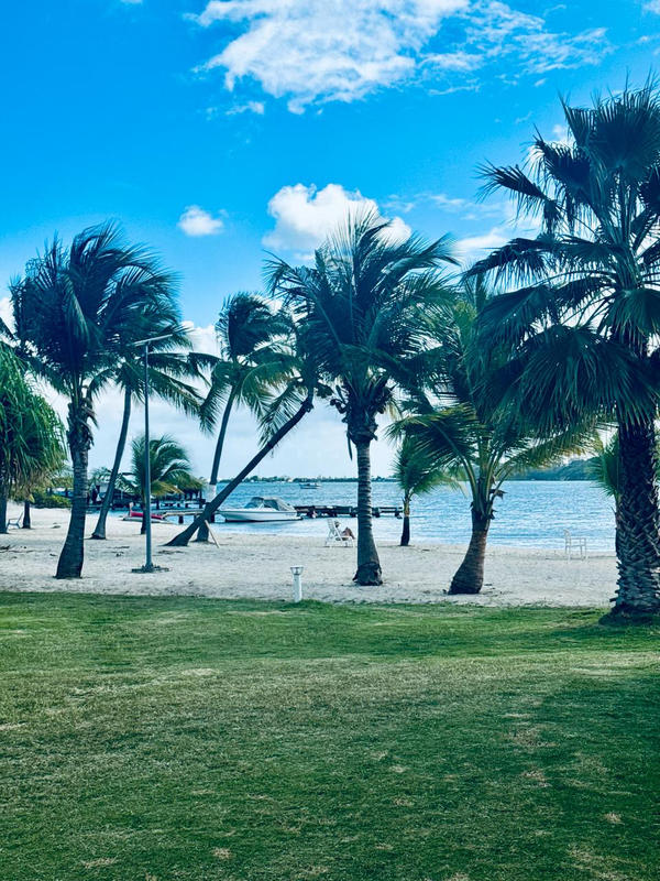 Appartement - 22 m² - 1 pièce