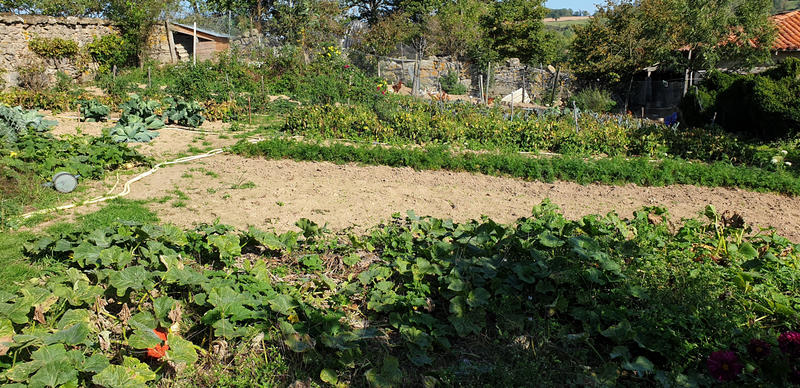 Maison - 250 m² - 1 pièce