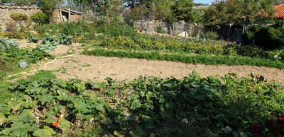 Maison - 250 m² - 1 pièce