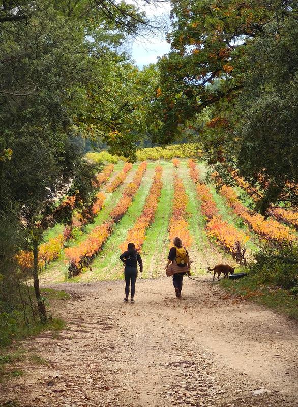 Randonnée de la Courge