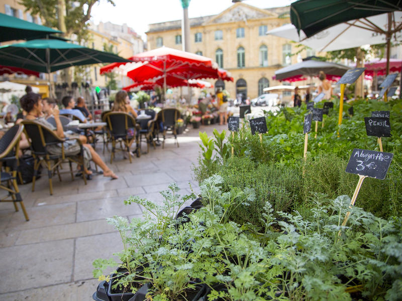 Le marché aux fleurs d'Aix-en-Provence