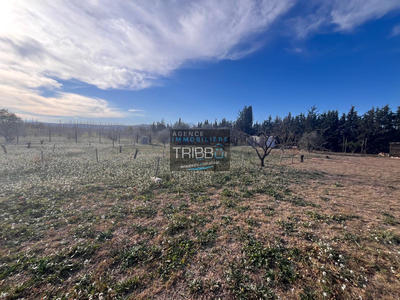 Terrain de loisirs - 1 995 m²