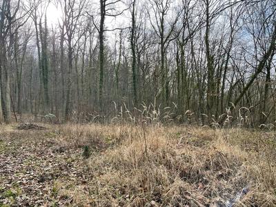 Terrain - 61 797 m²