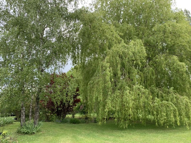 Maison - 185 m² - 7 pièces