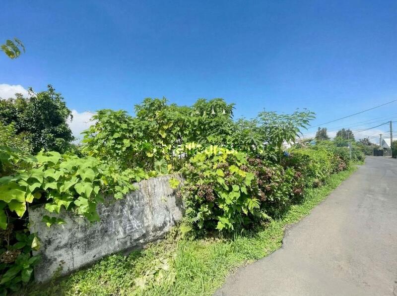 Terrain constructible - 1 427 m²