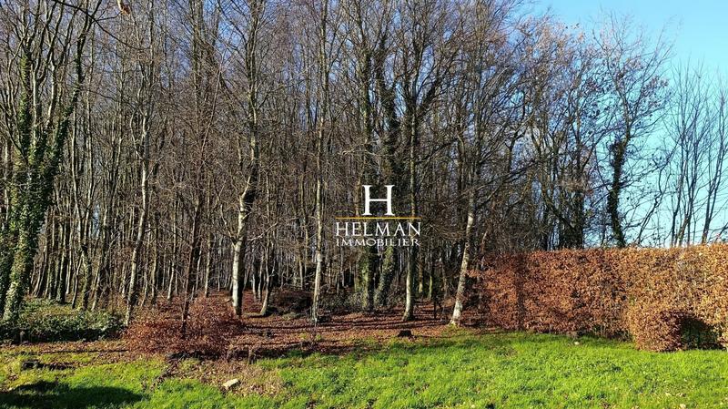 Maison - 230 m² - 8 pièces