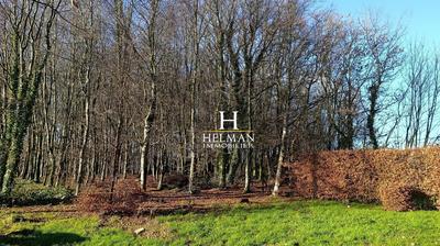 Maison - 230 m² - 8 pièces