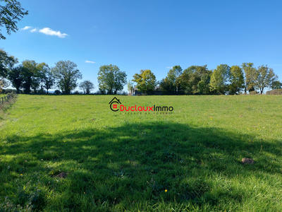 Terrain - 8 000 m²