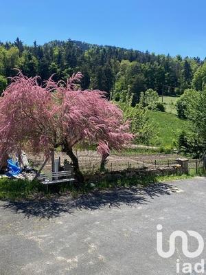 Maison - 245 m² - 15 pièces