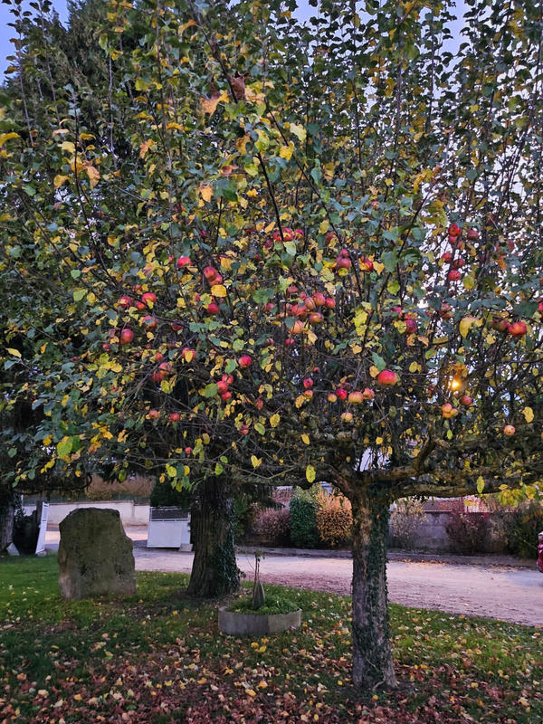 Maison - 117 m² - 7 pièces