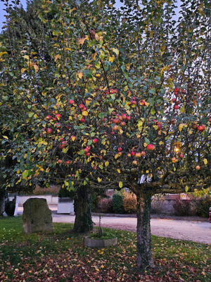 Maison - 117 m² - 7 pièces