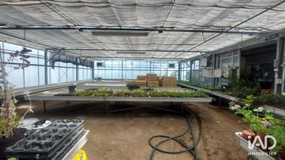 Local commercial - 800 m²