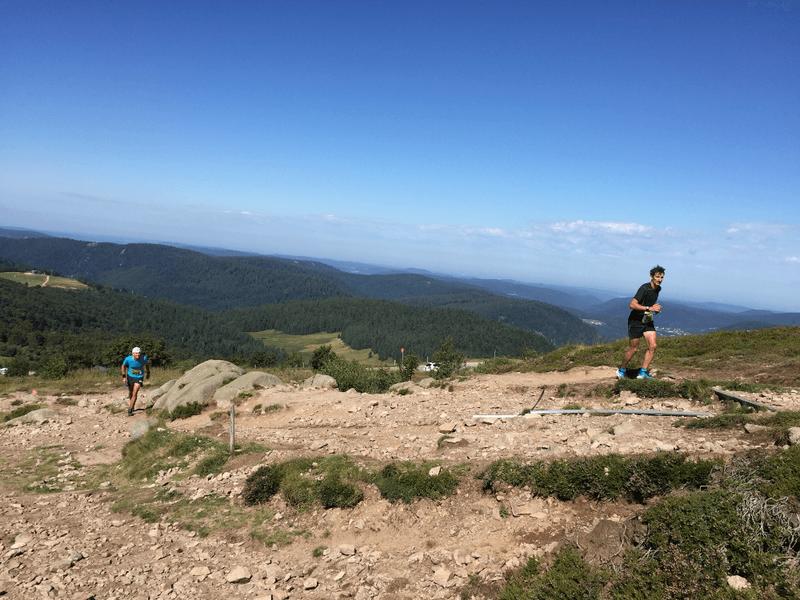 Course les Crêtes Vosgiennes