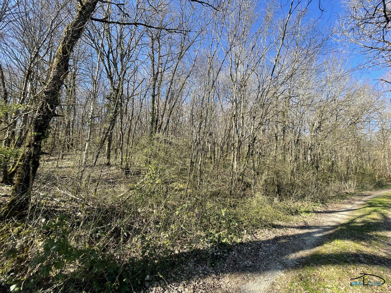 Terrain de loisirs - 3 498 m²