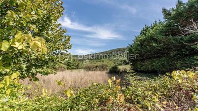 Propriété - 160 m² - 9 pièces