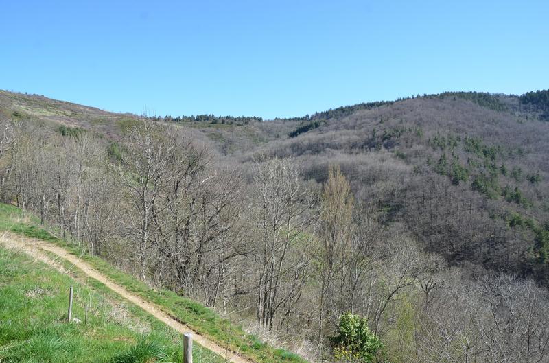 Ferme - 73 m² - 5 pièces