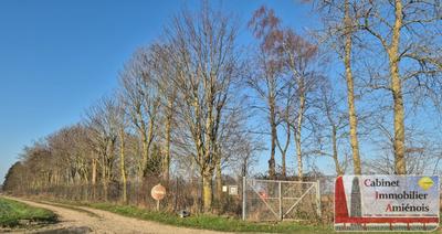 Terrain de loisirs - 6 490 m²