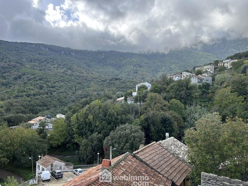 Appartement - 95 m² - 5 pièces