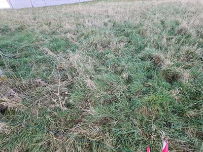 Terrain constructible - 916 m²