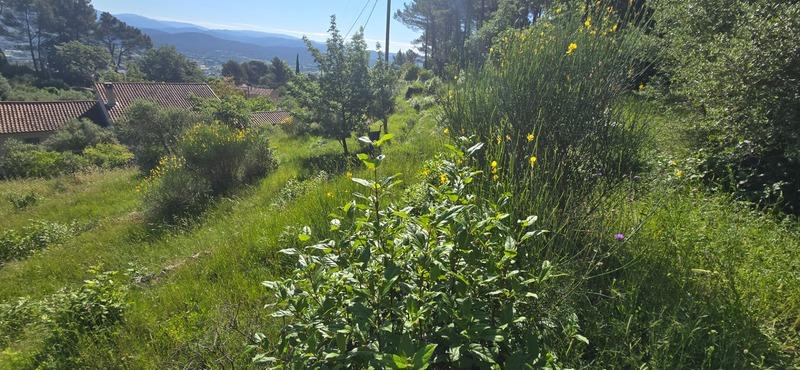 Terrain constructible - 2 000 m²