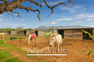 Maison - 355 m² - 12 pièces