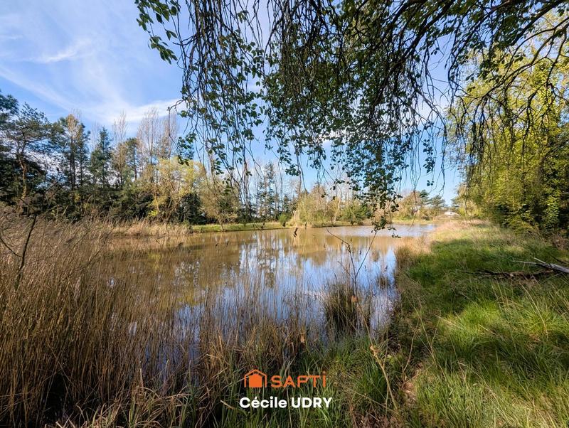 Terrain - 11 472 m²