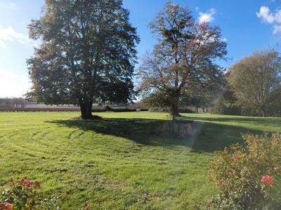 Maison ancienne - 99 m² - 6 pièces