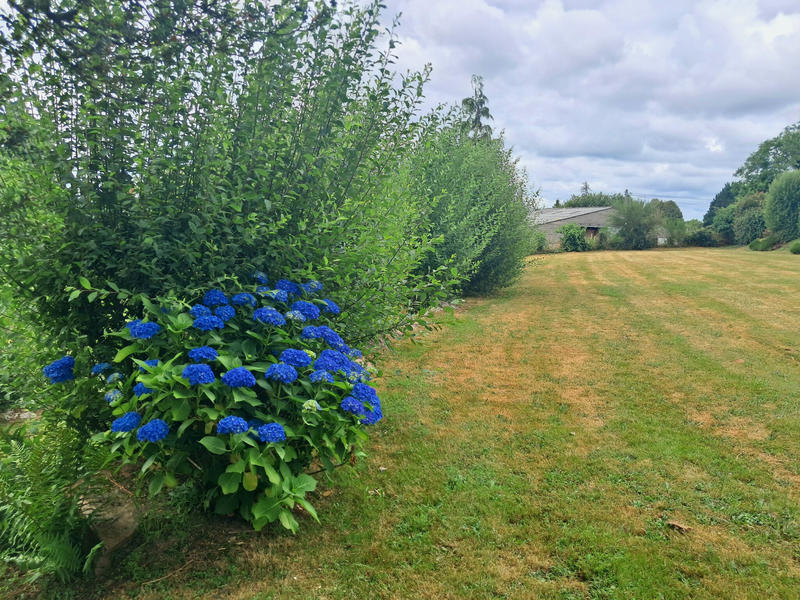 Maison - 240 m² - 5 pièces