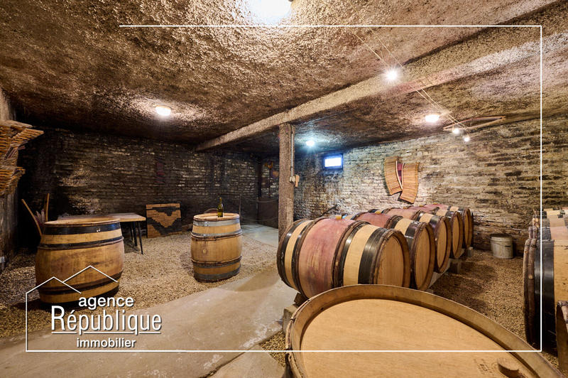 Maison - 320 m² - 13 pièces