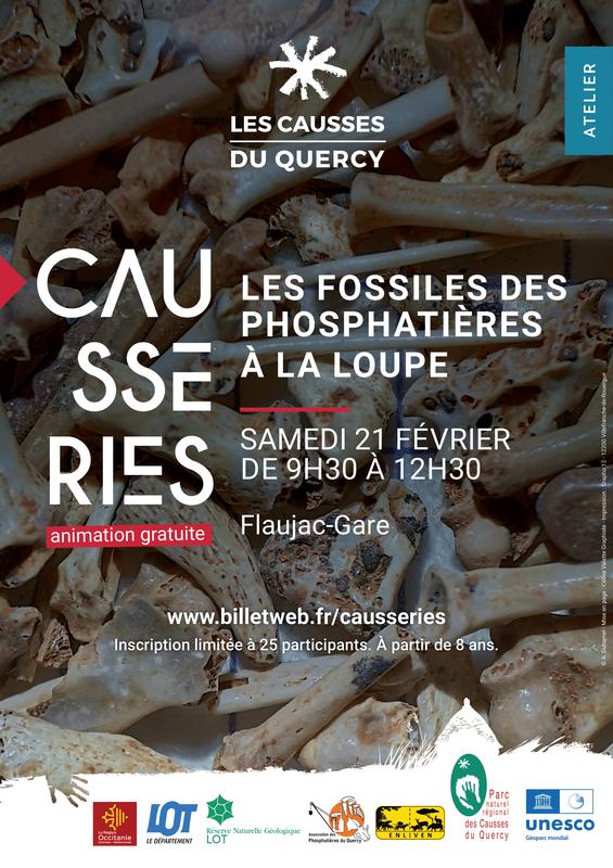 Les fossiles des phosphatières à la loupe Atelier de découverte
