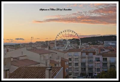 Studio - 16 m² - 1 pièce