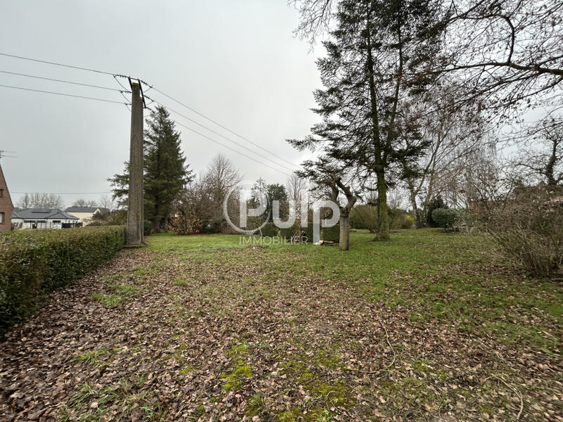 Terrain - 816 m²