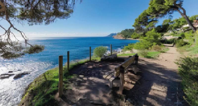 Studio - 35 m² - 1 pièce