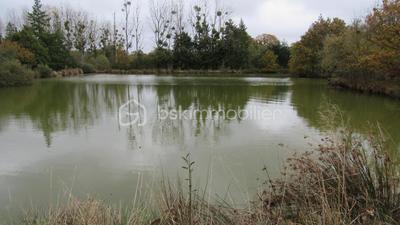 Terrain de loisirs - 16 985 m²