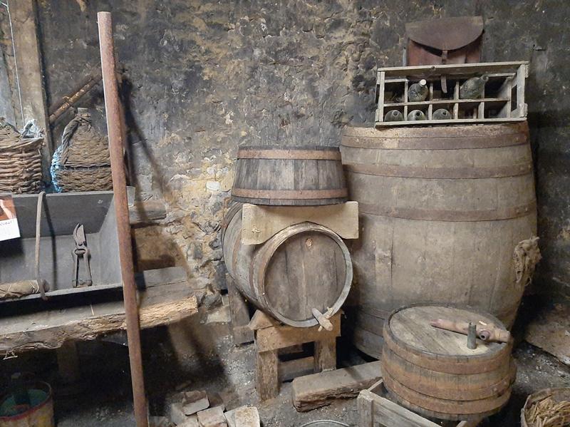 Découverte de la vigne et de ses outils d'antan
