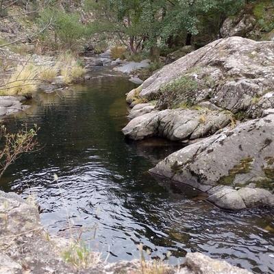 Maison en pierre - 100 m² - 5 pièces