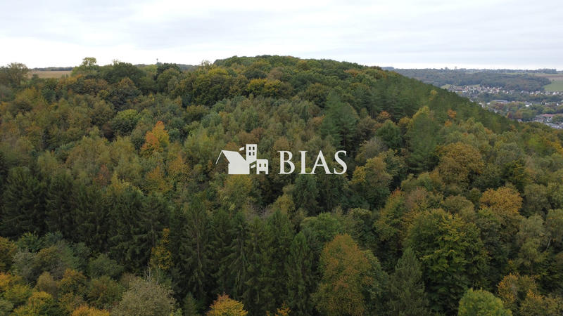 Terrain de loisirs - 490 000 m²