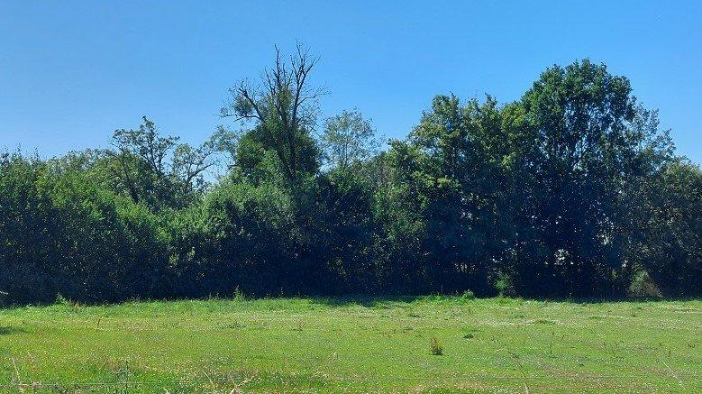 Terrain constructible - 4 515 m²