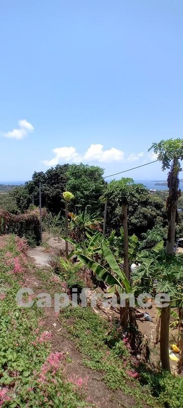 Terrain constructible - 423 m²