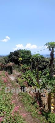 Terrain constructible - 423 m²