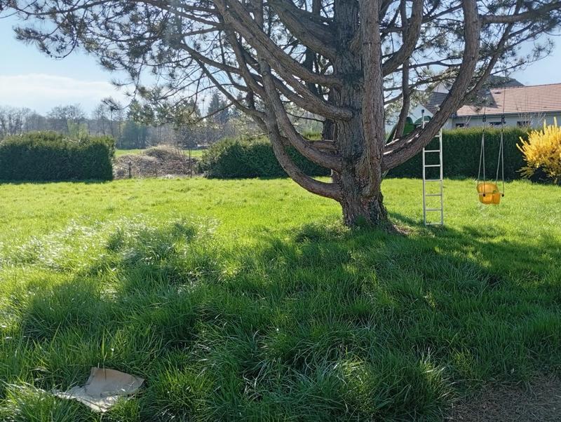 Maison - 270 m² - 12 pièces