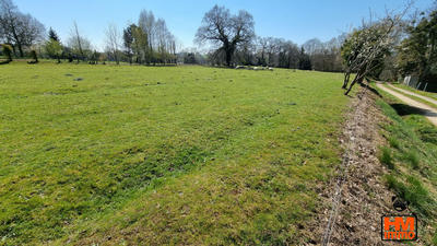 Terrain - 50 000 m²